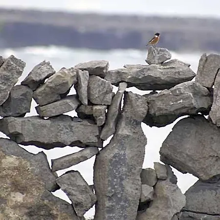 Holiday park Aran Islands Camping & Glamping 3*