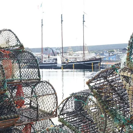 홀리데이파크 Aran Islands & Glamping 3*